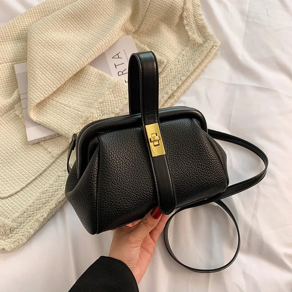 ZYB074 Vintage-Inspired Mini Bag